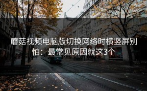 蘑菇视频电脑版切换网络时横竖屏别怕：最常见原因就这3个